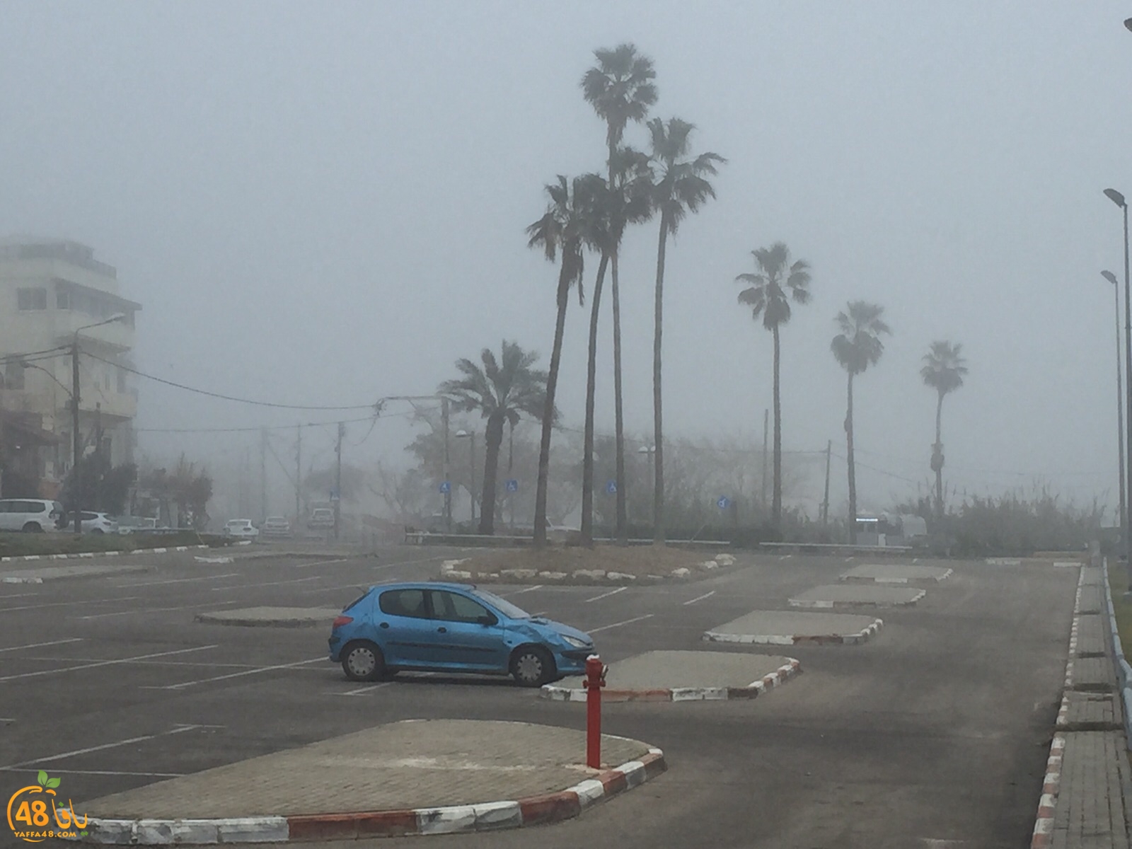 fog in yaffa (1).jpg